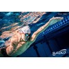 [Saeko] Seiko S49 Viking Swimming Goggles, Water Glasses, Waterproof, Anti-Fog,
