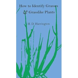How to Identify Grasses and Grasslike Plants: Sedges and Rushes
