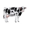 Beistle Jointed Cow