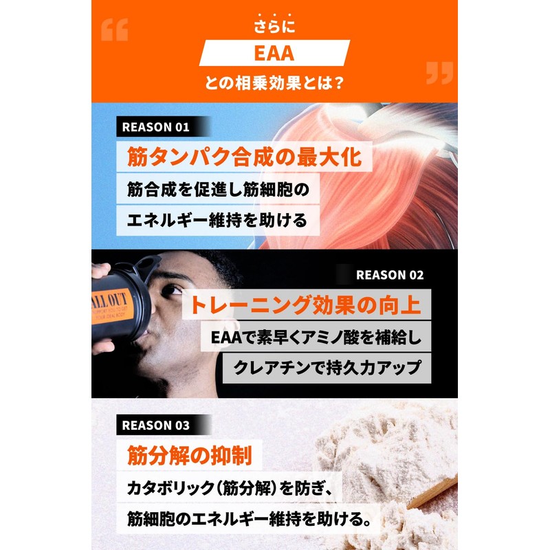 ALLOUT クレアチン モノハイドレート パウダー 500g creatine monohydrate 高純度99.9%
