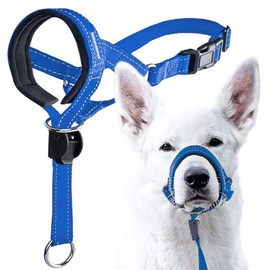 Dog Head Collar, Anti-Pull Dog Collar, Adjustable Reflective Dog Muzzles, No Pull Mouth Harness with Training Leash for Gentle Walking (Blue)
