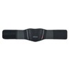 BLACKWILD Kidney Belt - Back Support Belt and Back Straightener