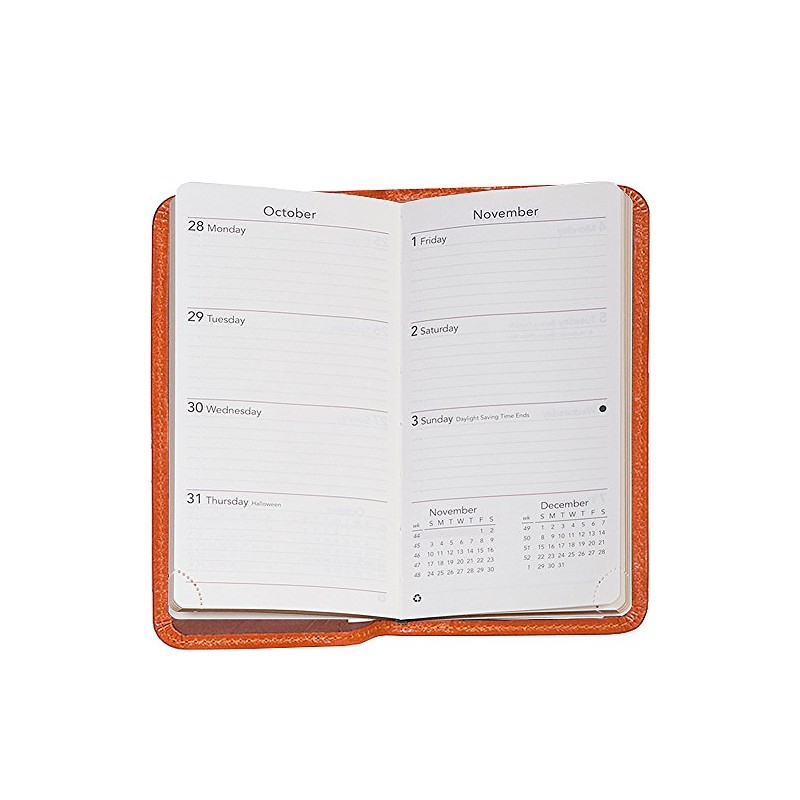 Scully Italian Leather Pocket Weekly Planner (Aloe)