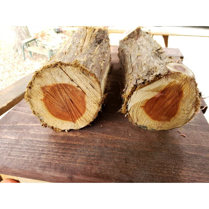 Cedar Grove 2 Eastern Red Cedar Logs Wood Blanks Crafts