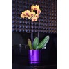 KERD Blumentopf 12 cm, Glänzendes Lila (086), elegant, dekorativ, luxuriös,