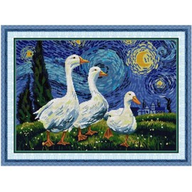 Qeerysew Cross Stitch Kits Stamped Full Range of Embroidery Starter Kits for Beginners DIY - Printed Kits Look at The Stars (Printed) 11CT 25.6×18.5 inches