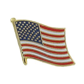 SHOP AWARDS AND GIFTS USA American Flag Lapel Pins, Military Veteran, America, Bulk Pack of 10, Poly Bagged, 5/8 Inch