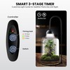 Glass Plant Terrarium, LED Grow Light, Adjustable Ventilation
