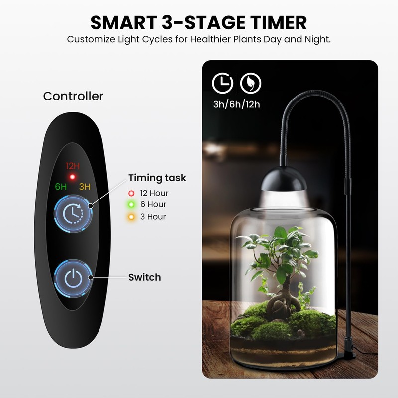 Glass Plant Terrarium, LED Grow Light, Adjustable Ventilation