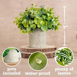 Sandoval Az Store Eucalyptus, Eyebrow Leaf,Epipremnum Aureum,3 Pieces of mini Fake Plants,Artificial Plants Indoor, Hanging Plants, Home Decor Fake Plants,Faux Plants Indoor, Bookshelf Decor