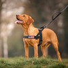 Annchwool No Pull Dog Harness with Soft Padded Handle,Reflective Strip