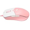 Wired Mouse Ergonomic Streamlined Cool RGB Optical Sensor Gaming Mechanical