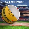 SPIN FIRST ADS Sports Soft Cricket Ball for Training &