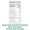 Russell Stover Sugar-Free Assorted Caramels in Chocolate, 15.3oz - Milk