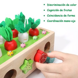XIaoyaNgkejI Juguetes Montessori para Niños, Juguetes Educativos, Juguetes de Clasificación de Formas, Juego de Habilidades Motoras Finas de Aprendizaje Preescolar, Regalos para Niños y Niñas