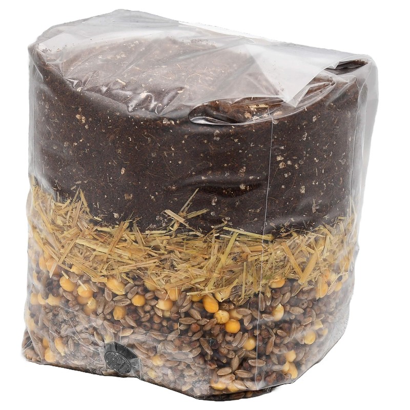 Mega Mix All-in-One Mushroom Grow Bag