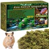 Riare 2.6LB Premium Sphagnum Moss for Reptiles- 100QT Natural Live