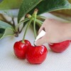 2Pcs Silver Stainless Steel Strawberry Huller Fruit Stem Remover Home
