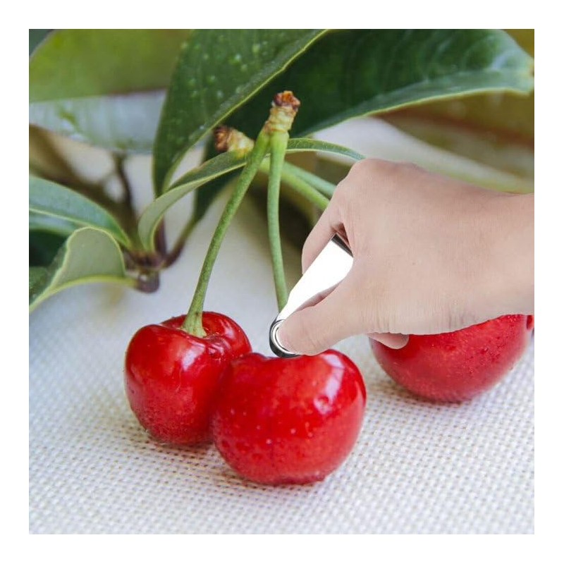 2Pcs Silver Stainless Steel Strawberry Huller Fruit Stem Remover Home