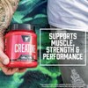 BSN Creatina Dna sin Sabor, 309 gr