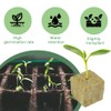 Rock Wool Cultivation 50 Pieces Rock Wool Cube Rock Wool