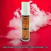 Gone Smoke Personal Smoke 'n' Odor Eliminator
