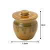 TAMAKI T-534892 Mini Turtle Storage Container, Kiseto Diameter 2.7 x