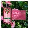 Shampoo Petalos De Rosa Herbal Essences Smooth Rose 865 Ml