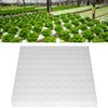 Oubit Hydroponic Sponge - Pack of 100 Hydroponic Sponge Planted