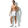 Arjen Kroos Men's Metallic Shiny Shorts Sexy Sparkly Rave Hot