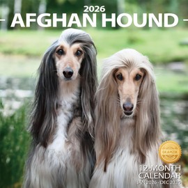 2026 Wall Calendar Afghan hound Planner Calendar, Hangable Monthly Wall Calendar with Large Blocks for Organizing & Planning, Academic Schedule, Home, Office & family, Thick & Sturdy Paper (12"x24" Open)