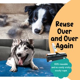 LOOKWOOF Pet Hair Remover Roller - Transparent & Durable ABS Reusable Removal Tool for Dog & Cat Hair Removal on Furniture, Couch, Carpet, Clothing, and Bedding - Multi-Surface Fur Removal (JC-670)