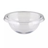 Clear Holy Water Font Liner