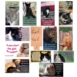Pet Pass Alongs Scripture Cards Set of 24, 12 unique designs Fun Inspiration Encouragement (Cat Set 1)