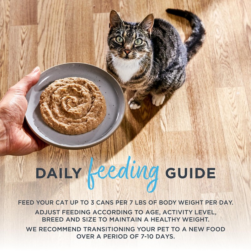 Reveal Grain Free Cat Food, Wet Cat Food, Tuna Fillet