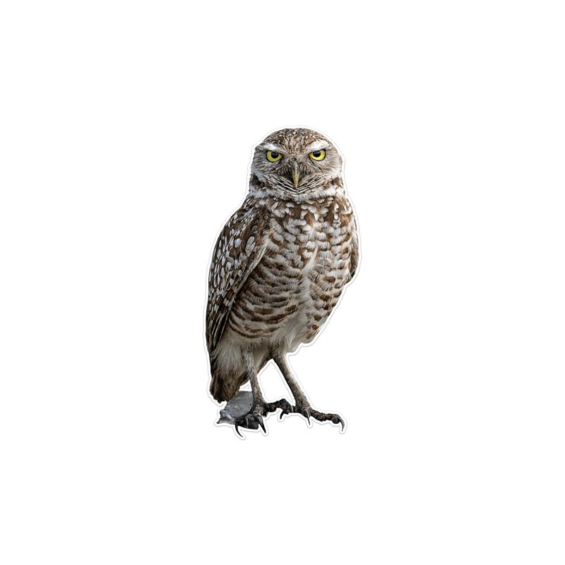 Photo Realistic Owl Window Cling - Vibrant Static Cling Window