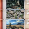 COMSUN 3 Pack Terrarium Background, 48x24 inches Polyester Reptile Background,