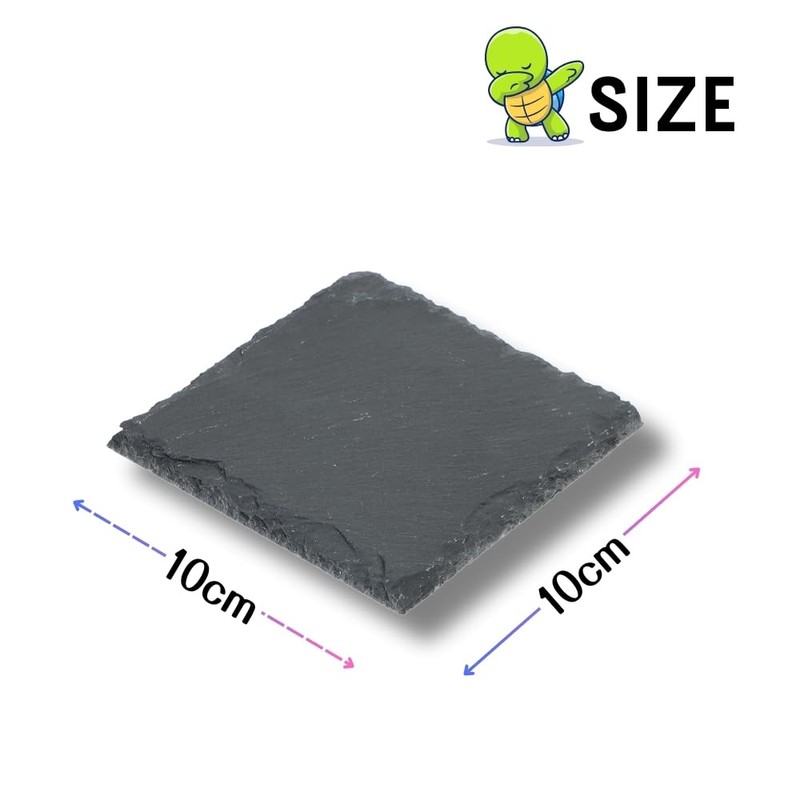 JP Number Turtle Drying Board, Food Plate, Turtle, Nail Sharpening