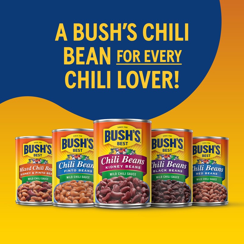 BUSH'S BEST 16 oz Canned Spicy Dark Red Chili Beans,