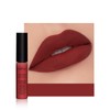Anifer Velvet Matte Liquid Lipstick Make-Up, Long-Lasting and Waterproof, Does