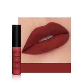 Anifer Velvet Matte Liquid Lipstick Make-Up, Long-Lasting and Waterproof, Does Not Stick to the Cup, Lip Gloss (Nude Brown 616)