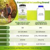 Simply Natures Pure Alpha Ácido Lipoico 600 mg 120 Cápsulas