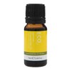 ECO. Modern Essentials Chamomile 3% (German) Essential Oil, 10ml