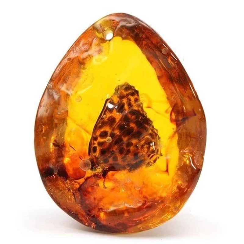 Zaagot Animals Amber for Butterfly Stone Pendant Necklace e for