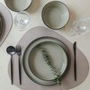 Stone Lain Elica 12-Piece Modern Dinnerware Set Stoneware, Plates and