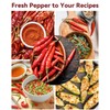 Hot Pepper Seed Pod Kit for Aerogarden, Ahopegarden (8 Pods)