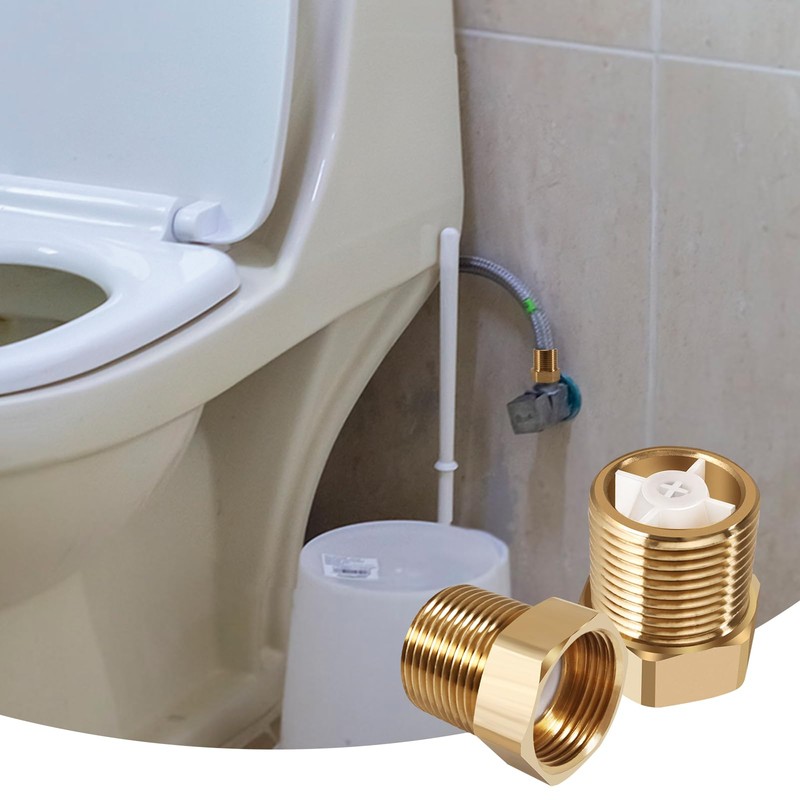 Pack of 2 Brass Check Valves 1 Inch, 1 Inch