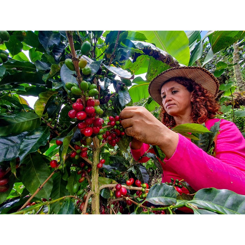 Cafe Don Pedro Low Acid Instant Coffee - Stomach Friendly,
