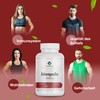 Ashwagandha Extract 500 mg 60 Capsules Indian Ginseng Memory