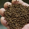 Planet Turf Tea Seed Meal - All Natural, Plant Safe